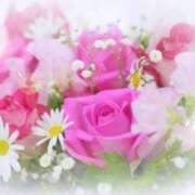 ヒメ日記 2025/06/04 05:55 投稿 リリア ミセスコレクション