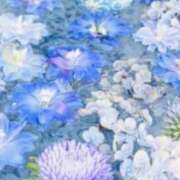 ヒメ日記 2025/06/05 05:53 投稿 リリア ミセスコレクション