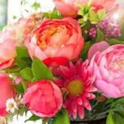 ヒメ日記 2025/06/14 06:13 投稿 リリア ミセスコレクション