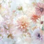 ヒメ日記 2025/06/15 05:55 投稿 リリア ミセスコレクション