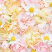 ヒメ日記 2025/06/16 06:03 投稿 リリア ミセスコレクション