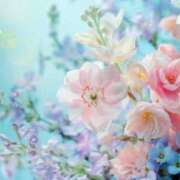 ヒメ日記 2025/06/17 05:43 投稿 リリア ミセスコレクション