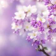 ヒメ日記 2025/06/18 05:53 投稿 リリア ミセスコレクション