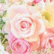 ヒメ日記 2025/06/19 05:53 投稿 リリア ミセスコレクション