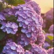 ヒメ日記 2025/06/22 05:43 投稿 リリア ミセスコレクション