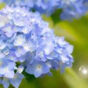 ヒメ日記 2025/06/22 06:03 投稿 リリア ミセスコレクション