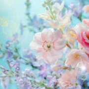 ヒメ日記 2025/06/23 06:05 投稿 リリア ミセスコレクション