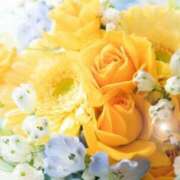 ヒメ日記 2025/06/24 05:53 投稿 リリア ミセスコレクション