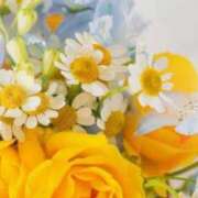 ヒメ日記 2025/06/24 05:55 投稿 リリア ミセスコレクション