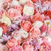 ヒメ日記 2025/06/25 05:53 投稿 リリア ミセスコレクション