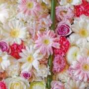 ヒメ日記 2025/06/25 05:55 投稿 リリア ミセスコレクション