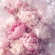 ヒメ日記 2025/06/30 05:43 投稿 リリア ミセスコレクション