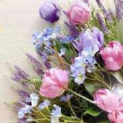 ヒメ日記 2025/07/02 05:43 投稿 リリア ミセスコレクション