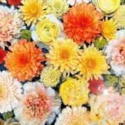 ヒメ日記 2025/07/03 05:53 投稿 リリア ミセスコレクション