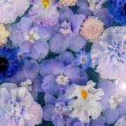 ヒメ日記 2025/07/04 05:55 投稿 リリア ミセスコレクション