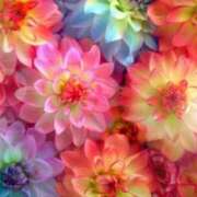 ヒメ日記 2025/07/05 06:05 投稿 リリア ミセスコレクション