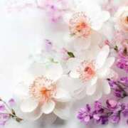 ヒメ日記 2025/07/06 05:33 投稿 リリア ミセスコレクション