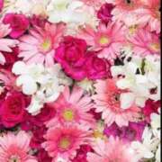 ヒメ日記 2025/07/09 05:43 投稿 リリア ミセスコレクション