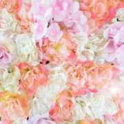 ヒメ日記 2025/07/09 05:47 投稿 リリア ミセスコレクション