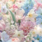 ヒメ日記 2025/07/10 05:53 投稿 リリア ミセスコレクション