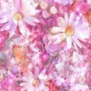 ヒメ日記 2025/07/13 05:53 投稿 リリア ミセスコレクション