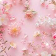 ヒメ日記 2025/07/14 05:43 投稿 リリア ミセスコレクション