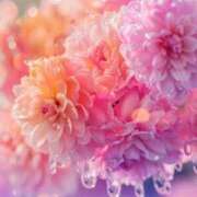 ヒメ日記 2025/07/16 05:46 投稿 リリア ミセスコレクション