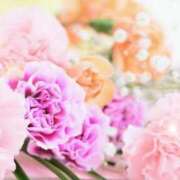 ヒメ日記 2025/07/17 05:53 投稿 リリア ミセスコレクション