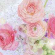 ヒメ日記 2025/07/17 05:55 投稿 リリア ミセスコレクション