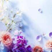 ヒメ日記 2025/07/19 05:53 投稿 リリア ミセスコレクション