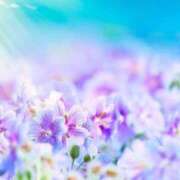 ヒメ日記 2025/07/21 06:23 投稿 リリア ミセスコレクション