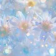 ヒメ日記 2025/07/22 06:23 投稿 リリア ミセスコレクション