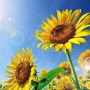 ヒメ日記 2025/07/23 05:53 投稿 リリア ミセスコレクション