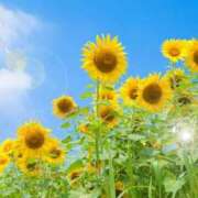 ヒメ日記 2025/07/23 06:13 投稿 リリア ミセスコレクション