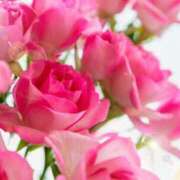 ヒメ日記 2025/07/24 05:53 投稿 リリア ミセスコレクション