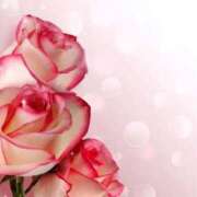 ヒメ日記 2025/07/24 05:55 投稿 リリア ミセスコレクション