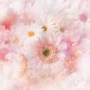 ヒメ日記 2025/07/26 05:53 投稿 リリア ミセスコレクション