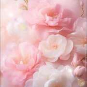 ヒメ日記 2025/07/26 05:55 投稿 リリア ミセスコレクション