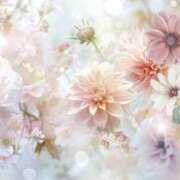 ヒメ日記 2025/07/27 06:13 投稿 リリア ミセスコレクション