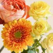 ヒメ日記 2025/07/29 05:53 投稿 リリア ミセスコレクション