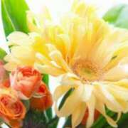 ヒメ日記 2025/07/29 05:56 投稿 リリア ミセスコレクション