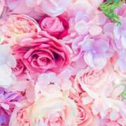 ヒメ日記 2025/07/30 05:56 投稿 リリア ミセスコレクション