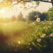 ヒメ日記 2025/07/31 05:33 投稿 リリア ミセスコレクション