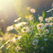 ヒメ日記 2025/07/31 05:37 投稿 リリア ミセスコレクション