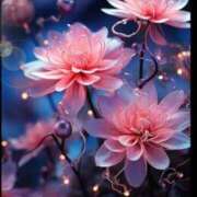 ヒメ日記 2025/08/01 05:46 投稿 リリア ミセスコレクション