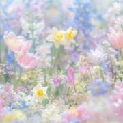 ヒメ日記 2025/08/02 06:03 投稿 リリア ミセスコレクション