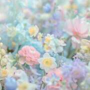 ヒメ日記 2025/08/02 06:05 投稿 リリア ミセスコレクション