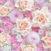 ヒメ日記 2025/08/04 06:03 投稿 リリア ミセスコレクション