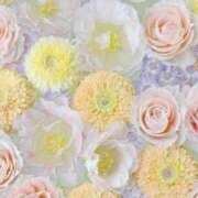 ヒメ日記 2025/08/05 05:45 投稿 リリア ミセスコレクション