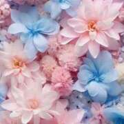 ヒメ日記 2025/08/06 05:23 投稿 リリア ミセスコレクション